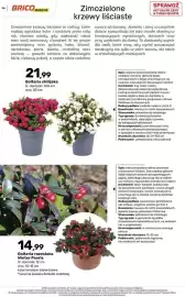Bricomarche gazetka Strona 46