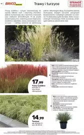 Bricomarche gazetka Strona 50: Trawy ozdobne €17,99, Turzyca €14,99
