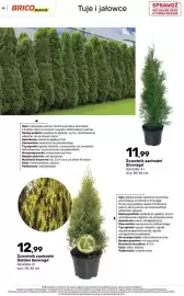Bricomarche gazetka Strona 56