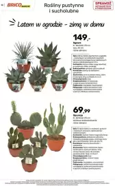 Bricomarche gazetka Strona 58: Agawa €149,00, Opuncja €69,99