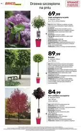 Bricomarche gazetka Strona 59