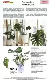 Bricomarche gazetka Strona 71: Monstera €69,99