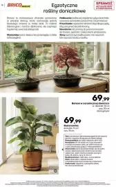 Bricomarche gazetka Strona 75