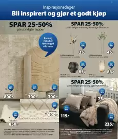 JYSK kundeavis uke 34 Side 3: ALEX kunstig blomst €35,00, LUCERNE teppe €850,00