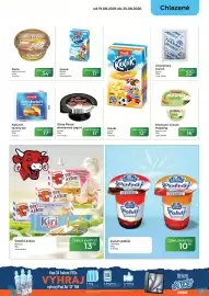 Tamda Foods leták týden 34 Strana 19: Ehrmann Cream Pudding Matcha Latte €16,90, Olma Pierot smetanový jogurt €11,50