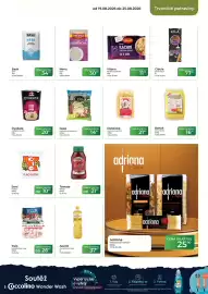 Tamda Foods leták týden 34 Strana 39: Cessi těstoviny bezvaječné €14,50, Apetol slunečnicový olej €37,90