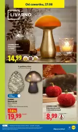 Lidl gazetka tydzień 35 Strona 43: LIVARNO Dekoracja LED €19,99, LIVARNO HOME Dekoracja jesienna €14,99