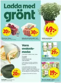 ICA Supermarket reklamblad vecka 34 Sida 5: Ladda med grönt 20:- /st ICA 150 PLOMMON Plommon i korg ICA. Spanien. 800 g