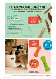 Catalogue Tom&Co page 3: KONG Jouets pour chiens