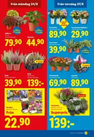 Lidl reklamblad vecka 35 Sida 19: Bollkryss €79,90, Elefantöra €44,90
