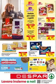 Volantino Despar Pagina 16: Bocconcini per gatto gusti assortiti Le Ghiottonerie Felix €1,79