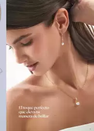 Folleto Yanbal Página 41