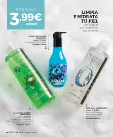 Catálogo Cristian Lay Página 82