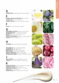 Nutrimetics catalogue Page 93