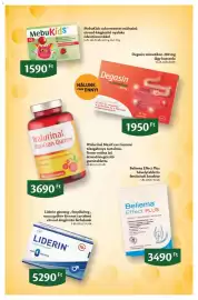 EcoFamily akciós újság Oldal 7: Degasin szimetikon €1.950,00, Walurinal maxicran gumi €3.690,00