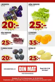 Din Mat reklamblad vecka 34 Sida 6: Lingongrova pågen €20,00, Gröna vindruvor €25,00