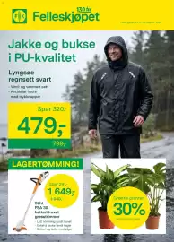 Felleskjøpet kundeavis uke 34 Side 1: Stihl FSA 30 batteridrevet gresstrimmer €1.649,00, Grønne planter