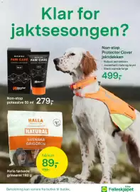 Felleskjøpet kundeavis uke 34 Side 11: Non-stop potesalve €279,00, Halla tørkede griseører €89,00