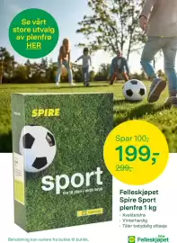 Felleskjøpet kundeavis uke 34 Side 6: Spire Sport €199,00