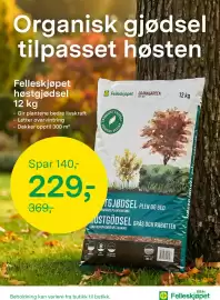 Felleskjøpet kundeavis uke 34 Side 7: Felleskjøpet høstgjødsel €229,00