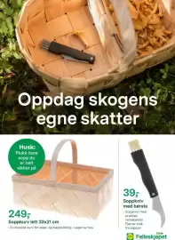 Felleskjøpet kundeavis uke 34 Side 9: Soppkurv lett €249,00, Felleskjøpet Soppkniv med børste €39,00