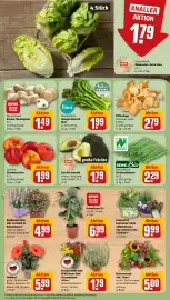 REWE City Prospekt woche 34 Seite 9