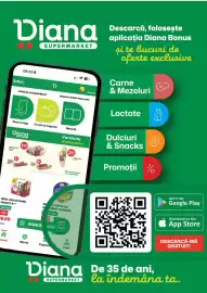 Catalog Diana Supermarket Pagină 13