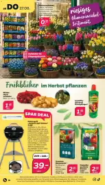 Netto Prospekt woche 35 Seite 18