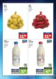 Catalog Metro săptămâna 34 Pagină 2: Aro lapte de consum €4,75, Ardei Bianca €12,99