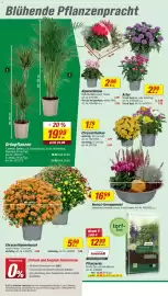 Toom Baumarkt Prospekt woche 36 Seite 4