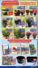 CENTERSHOP Prospekt woche 34 Seite 11