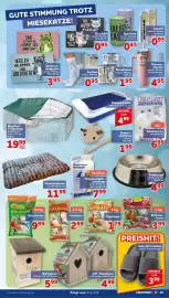 CENTERSHOP Prospekt woche 34 Seite 19