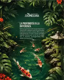 Volantino Zoomiguana Pagina 2