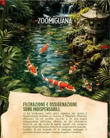 Volantino Zoomiguana Pagina 3