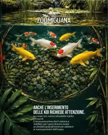Volantino Zoomiguana Pagina 5