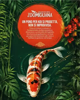 Volantino Zoomiguana (valido fino al 28-08)