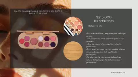 Catálogo Caretas Página 73