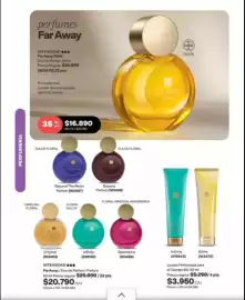 Catálogo Avon Página 47: Loción parfumada para el cospon €3.950,00, Far away - perfumes €16.890,00