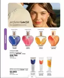 Catálogo Avon Página 51: Uno - lovi u.lociones perfumada para al cacero €3.950,00, Uno - interispad €18.790,00