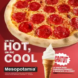 Catalog Mesopotamia Pagină 1