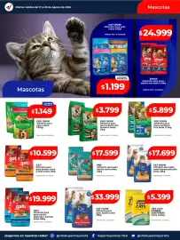 Catálogo Supermayorista Vital semana 34 Página 28: Dog chow alimento para perro adulto alta proteina bolsa €3.799,00