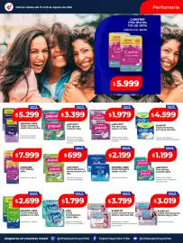 Catálogo Supermayorista Vital semana 34 Página 6: Lina toalla incontinencia c/ alas €1.799,00