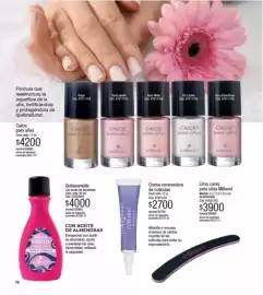 Catálogo Millanel Cosmética Página 74