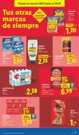 Catálogo Lidl semana 35 Página 37: Orlando Tomate frito €1,99, Gallo macarrones xl €1,00