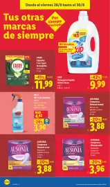 Catálogo Lidl semana 35 Página 40: Ausonia compresas discreet mini €3,96, Skip Detergente líquido Active Clean €9,99