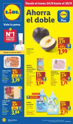 Catálogo Lidl