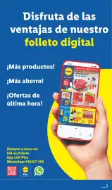 Catálogo Lidl | Bazar Página 29