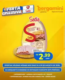Catálogo Supermercado Bergamini semana 33 Página 3