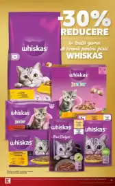 Catalog Kaufland săptămâna 34 Pagină 15