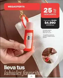 Catálogo Avon Página 13